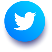 Twitter Icon